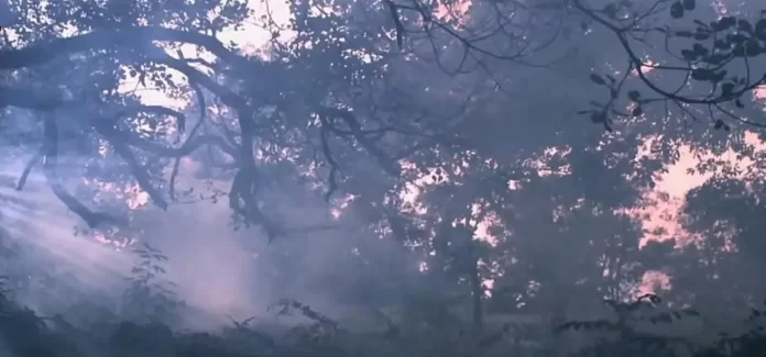 গাজীপুরে দম্পতিকে কুপিয়ে জখম - গাজীপুরের সড়ক