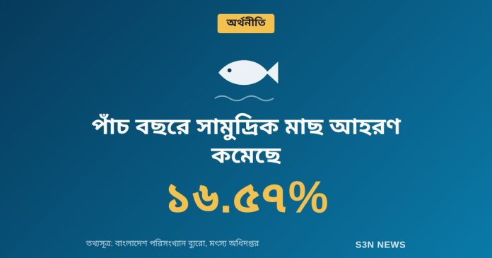 পাঁচ বছরে সামুদ্রিক মাছ আহরণ কমেছে