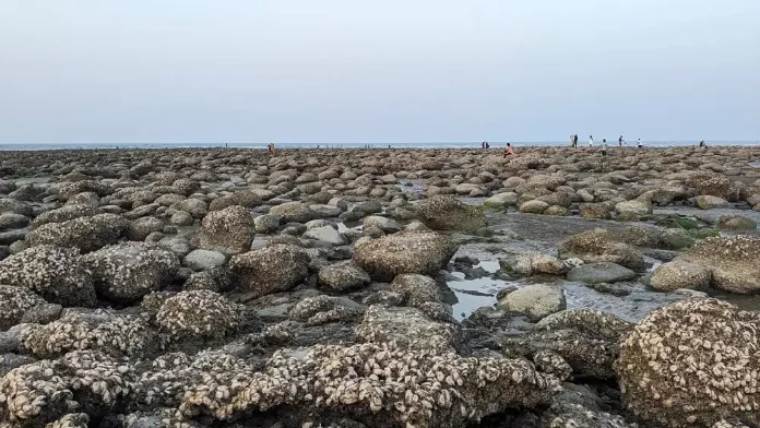 সেন্ট মার্টিন ভ্রমণ - সেন্ট মার্টিন দ্বীপ