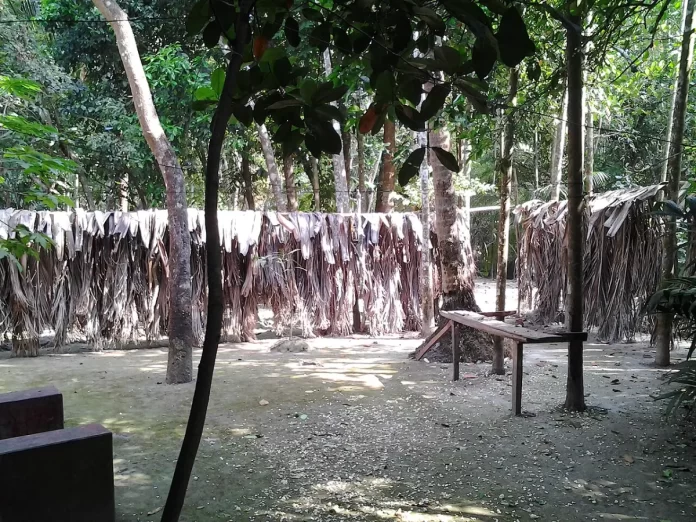 পিরোজপুর সদর উপজেলা
